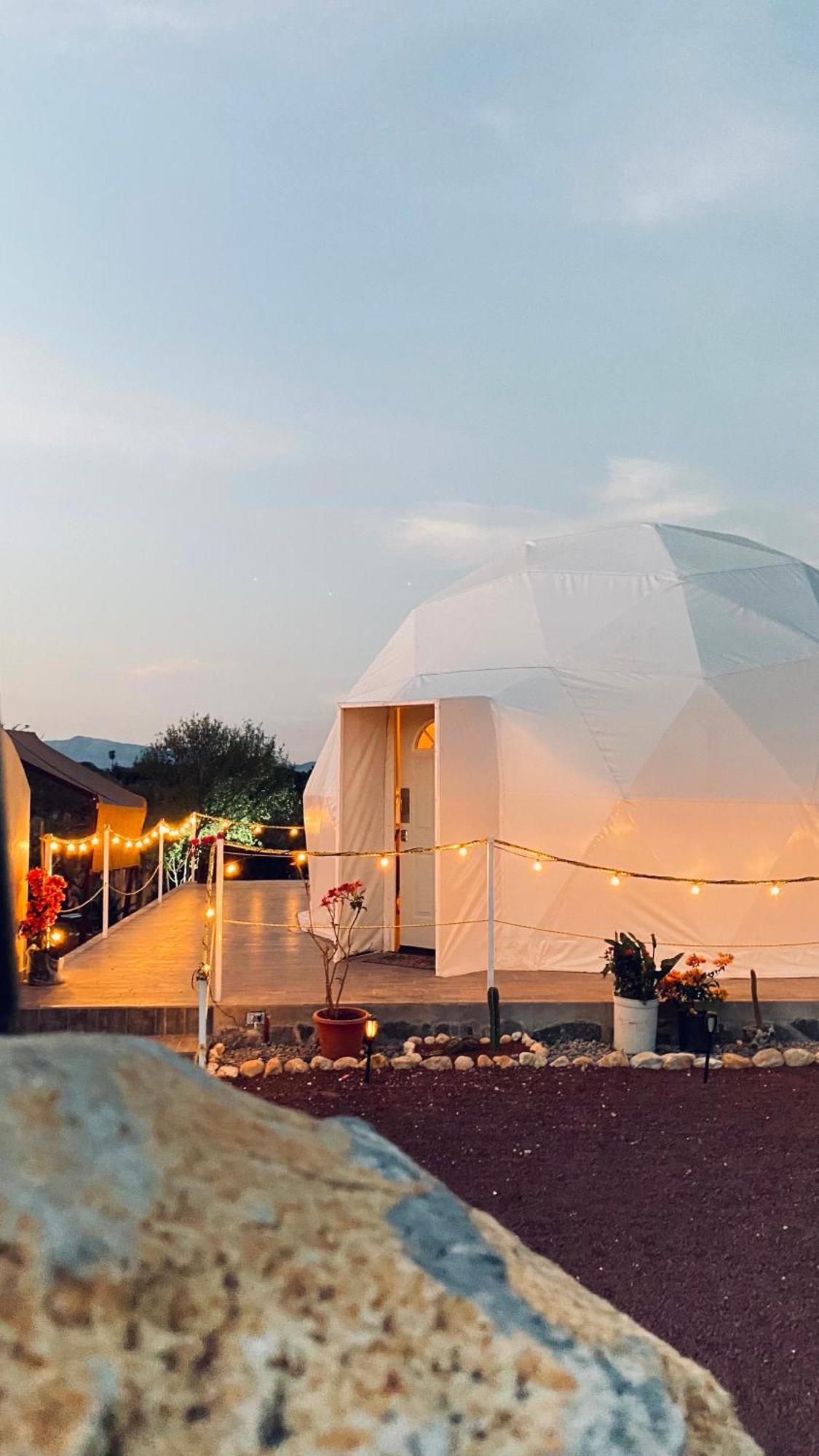 El Gato Glamping Con Vista A Prismas Basalticos Hotel Huasca de Ocampo Exterior photo