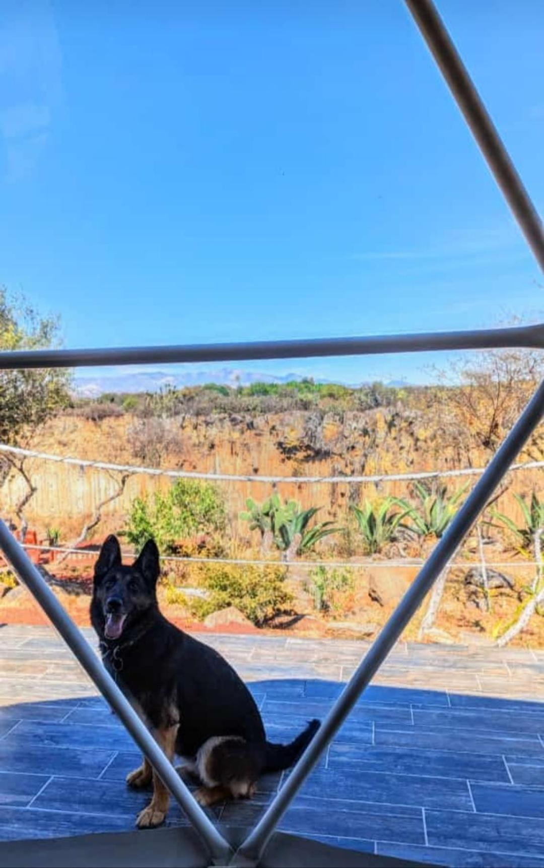 El Gato Glamping Con Vista A Prismas Basalticos Hotel Huasca de Ocampo Exterior photo