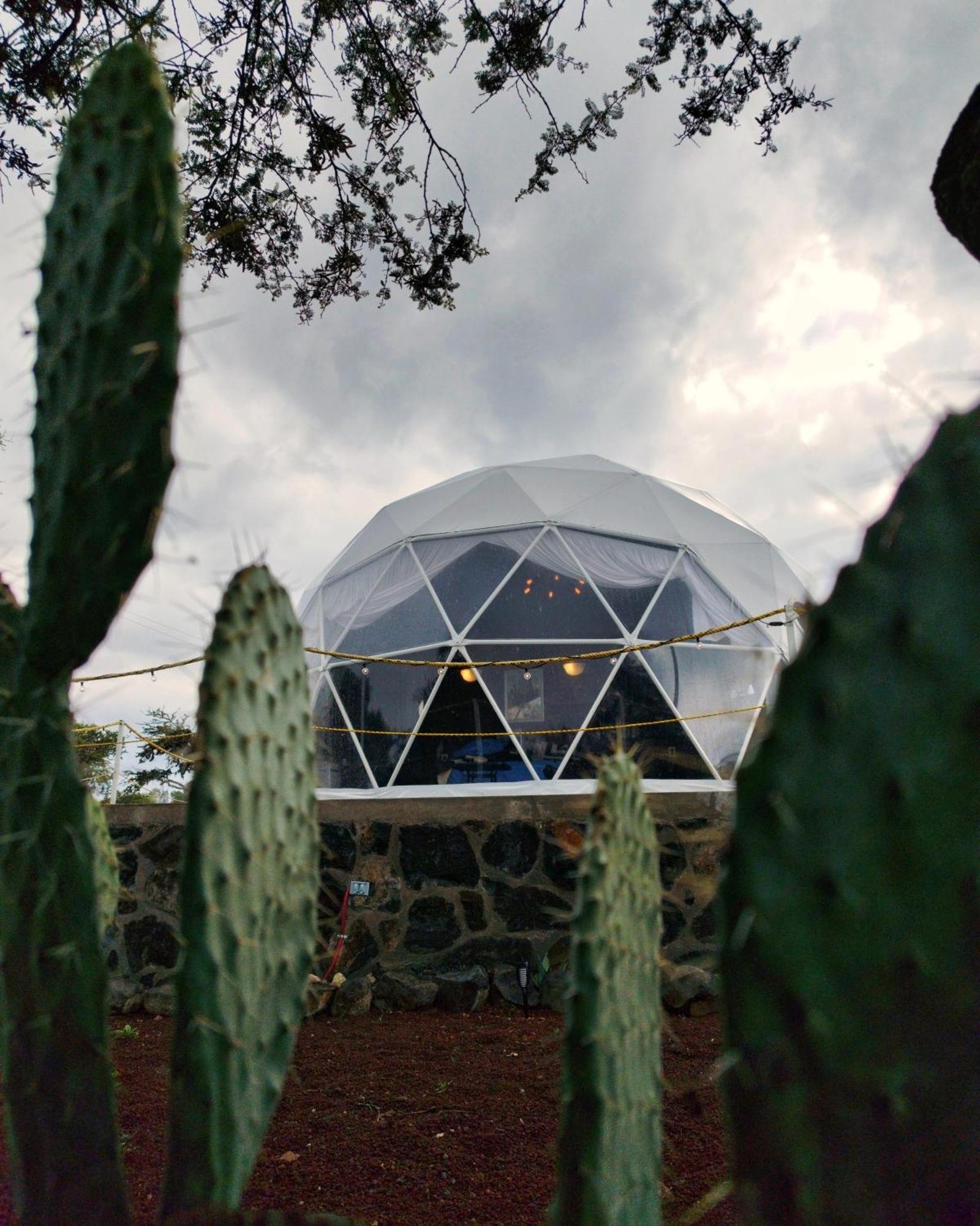 El Gato Glamping Con Vista A Prismas Basalticos Hotel Huasca de Ocampo Exterior photo